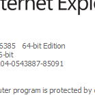 The 64-bit version of Windows 7 includes both the 32-bit and 64-bit versions of Internet Explorer.