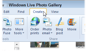 Choose Create from Windows Live Photo Gallery's top menu.