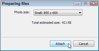 When the Preparing Files window appears, choose the photo's new size from the drop-down menu (800x600 works well).