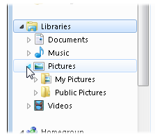 The Pictures Library displays the contents of two folders: your My Pictures folder, and the Public Pictures folder, used to share photos between everybody using that PC.